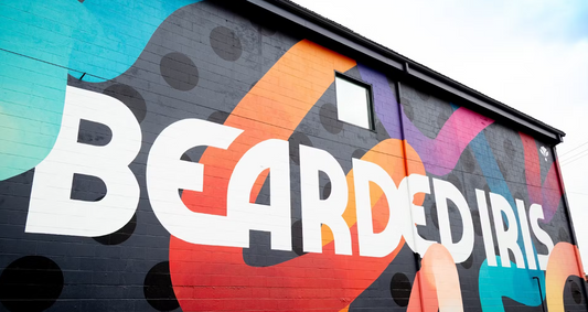 Bearded Iris Acquired by Wiseacre Brewing